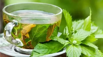 مشروبات طبيعية لتعزيز المناعة وحماية الجسم من نزلات البرد والإنفلونزا في الشتاء